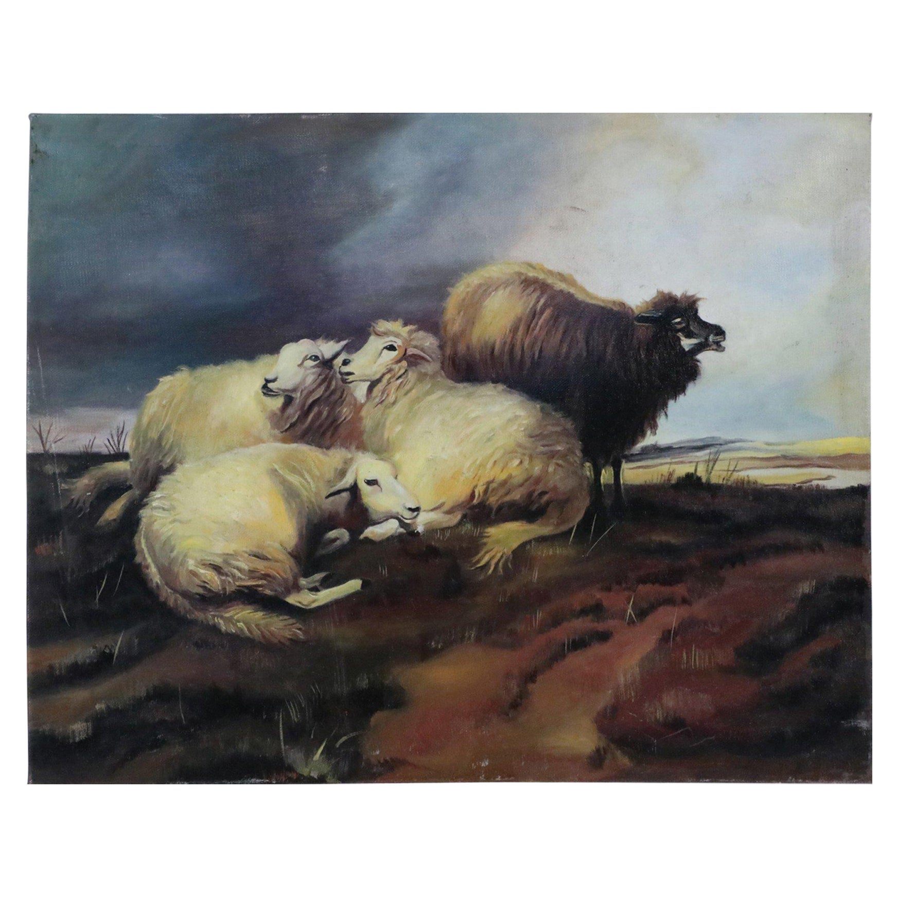Peinture à l'huile sur toile - Groupe de moutons dans un champ