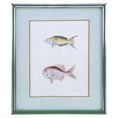 Lithographie encadrée de deux poissons tropicaux multicolores