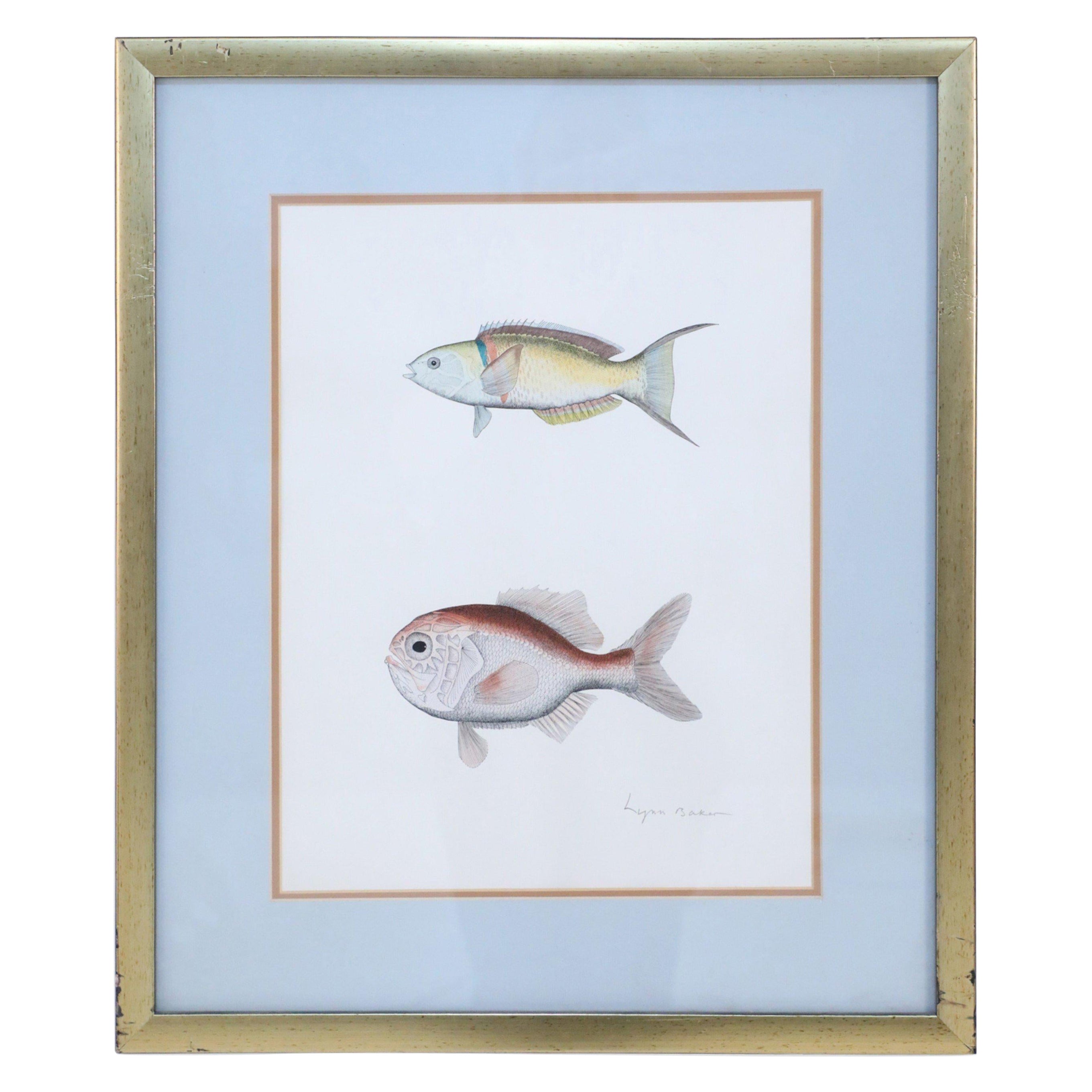 Framed Lithograph of Two Tropical Fish For Sale