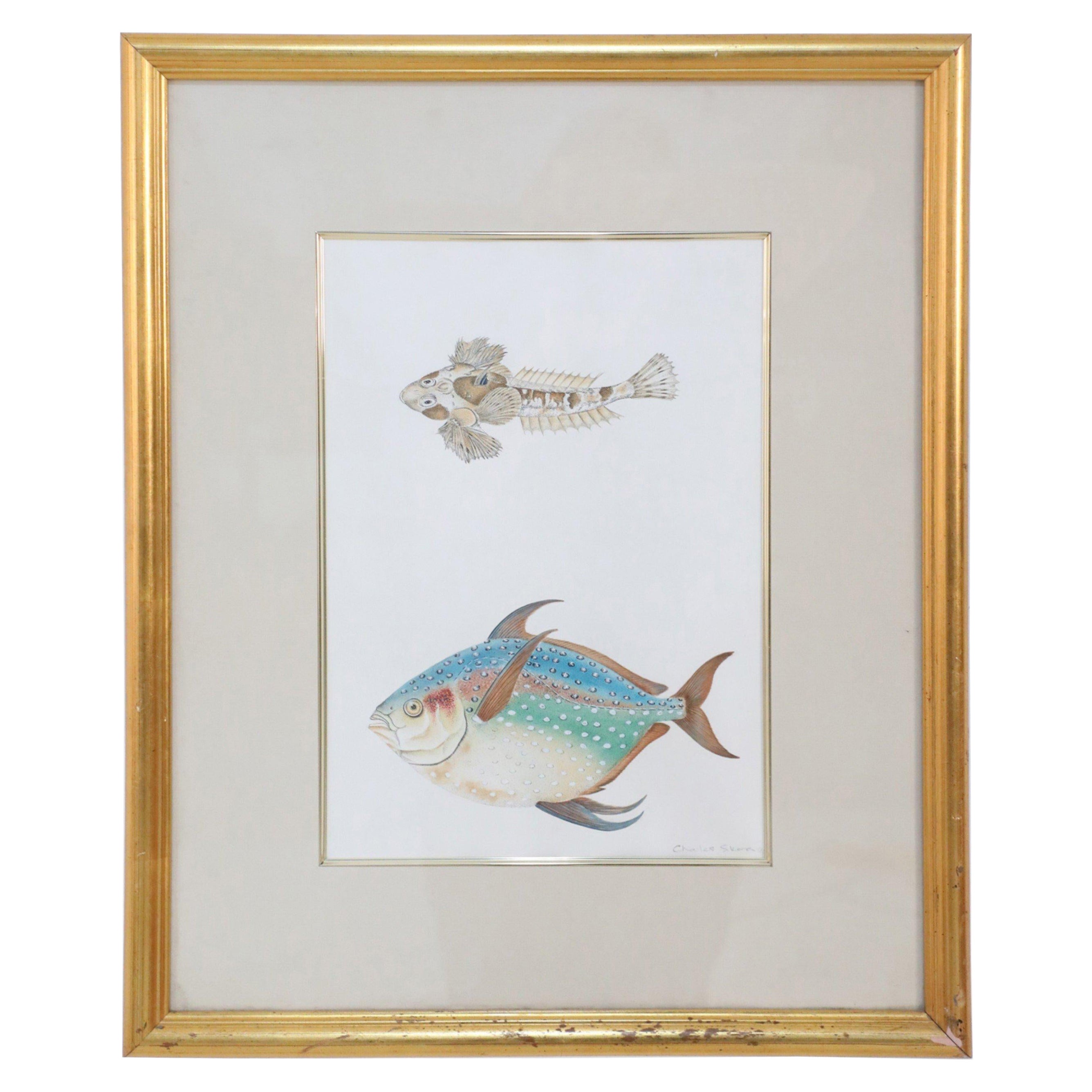 Framed Color Lithograph of Brown and Multi-Colored Tropical Fish For Sale