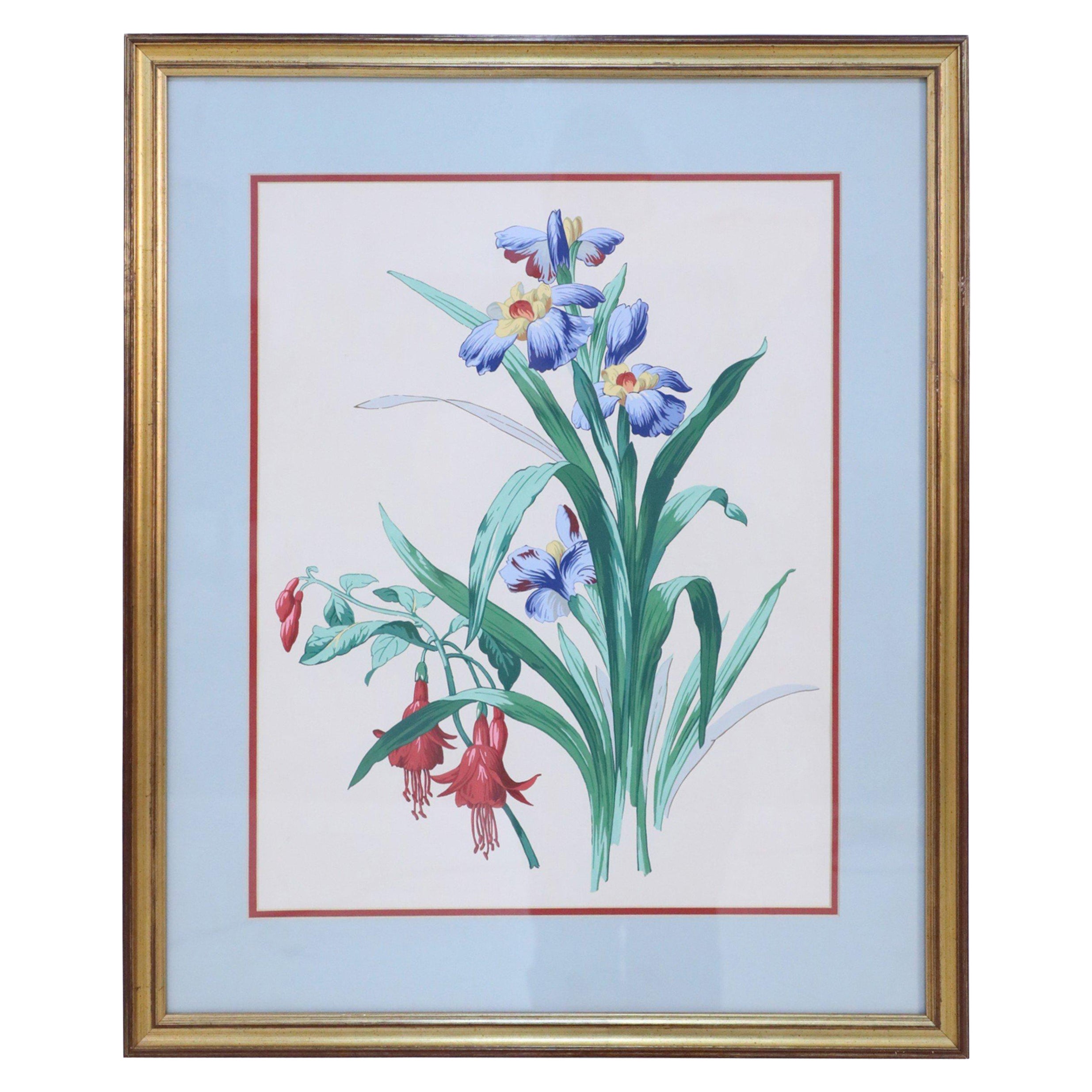 Framed Still Life Illustration of Blue and Yellow Irises For Sale