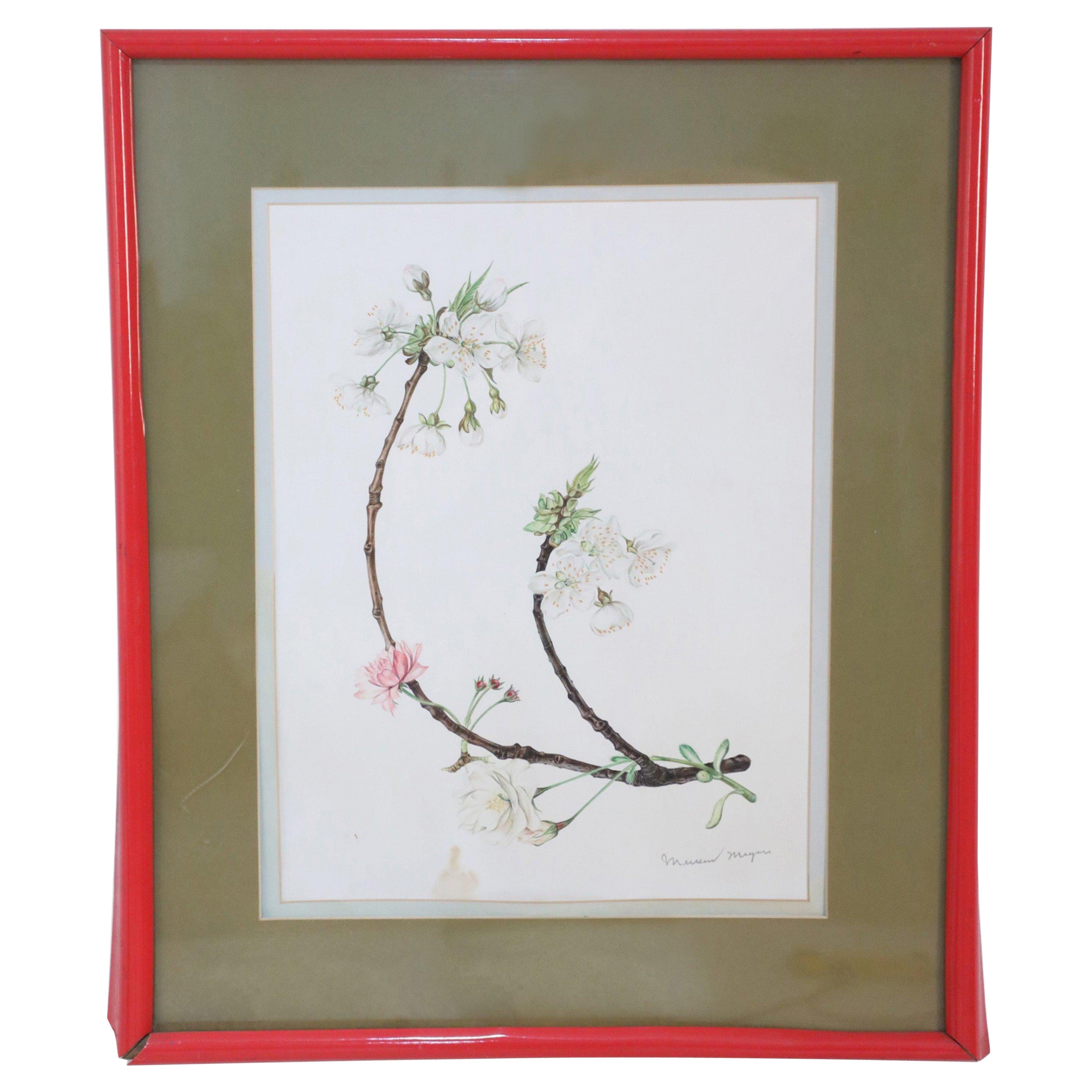 Framed Illustration of a Budding Flower Branch For Sale