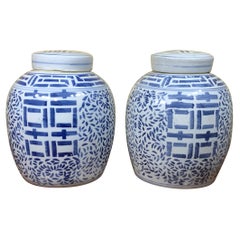 Pair of Chinese Blue and White Hand Decorated Porcelain Ginger Jar, 20th