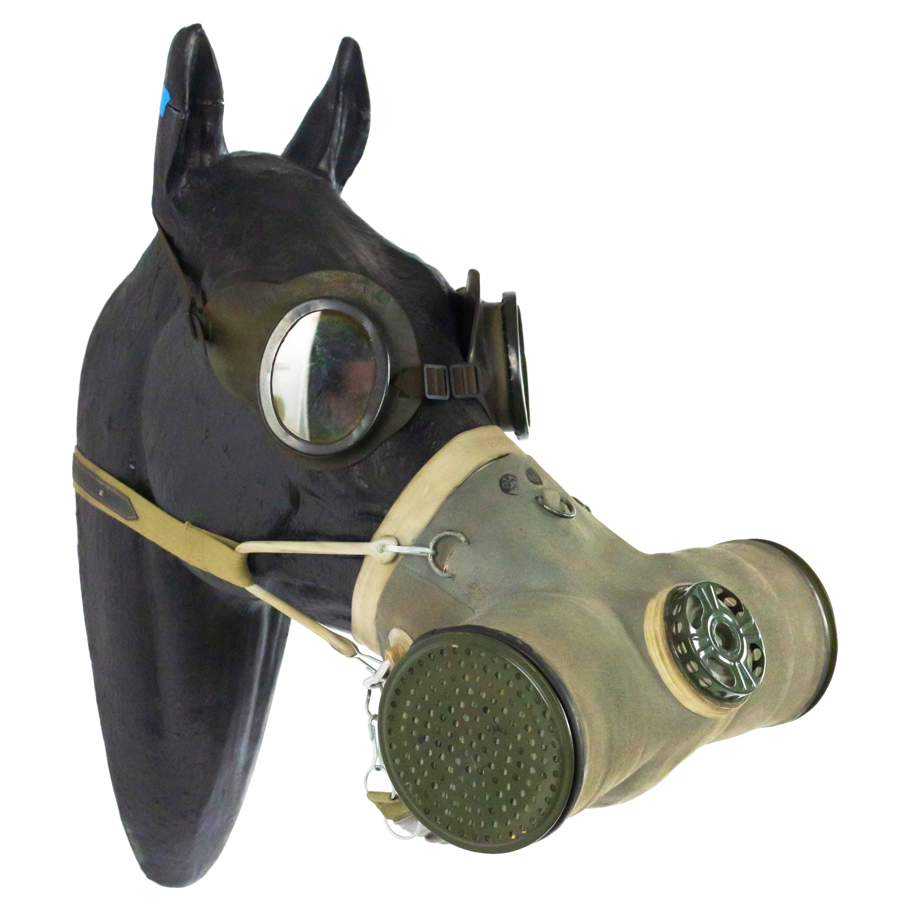 WWI Model of Horse Head Wearing Gas Mask