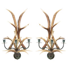 Vintage Pair of Rustic Horn and Brass Wall Sconces