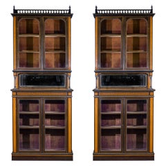 Pair of Specimen Wood Aesthetic Cabinets