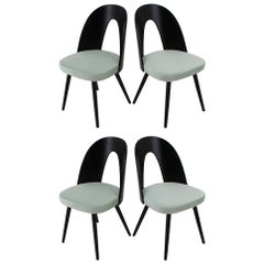 1960s Antonin Suman Set of Four Dining Chairs