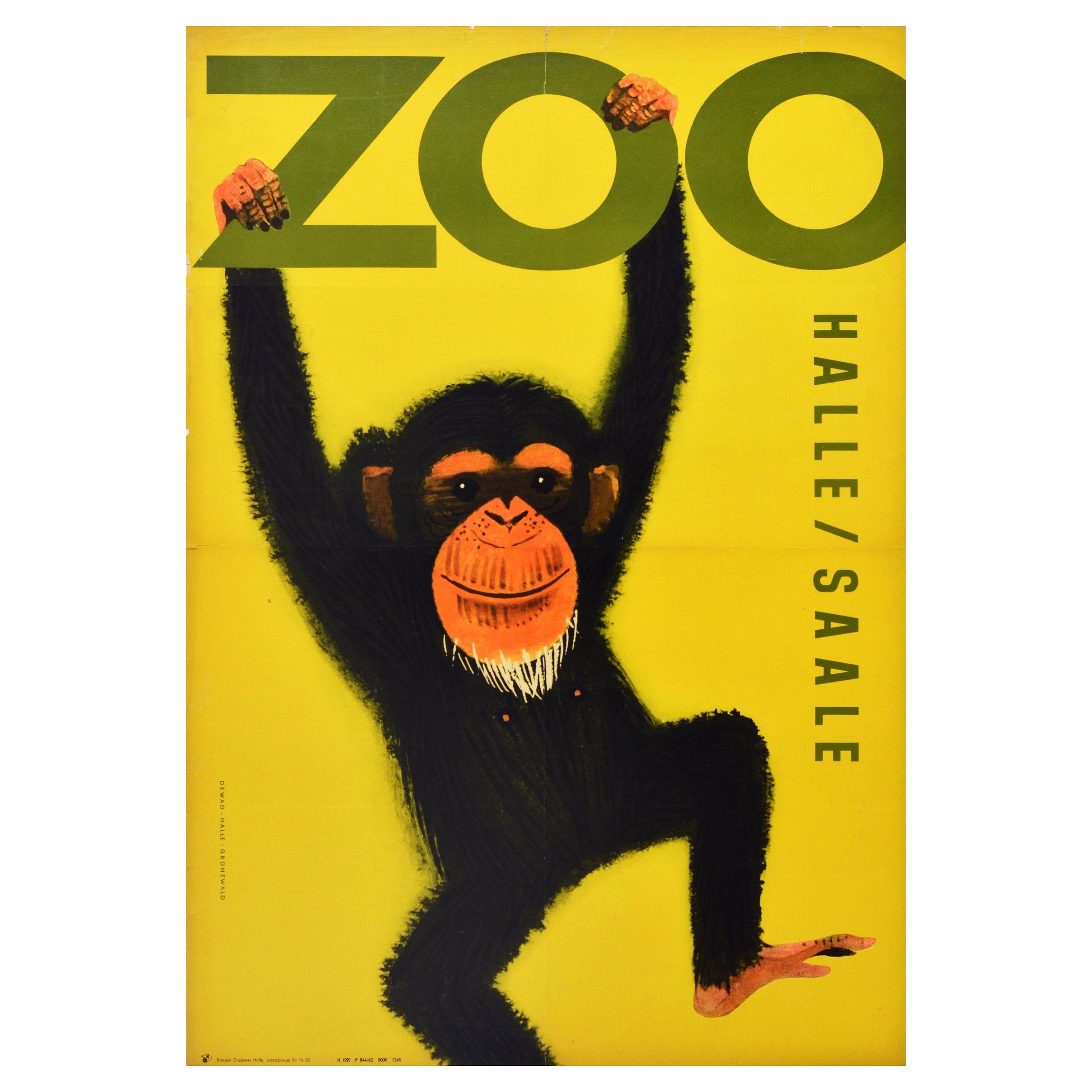 Affiche vintage d'origine Halle Saale Zoo, Allemagne, dessin de singe chimpanzé en vente