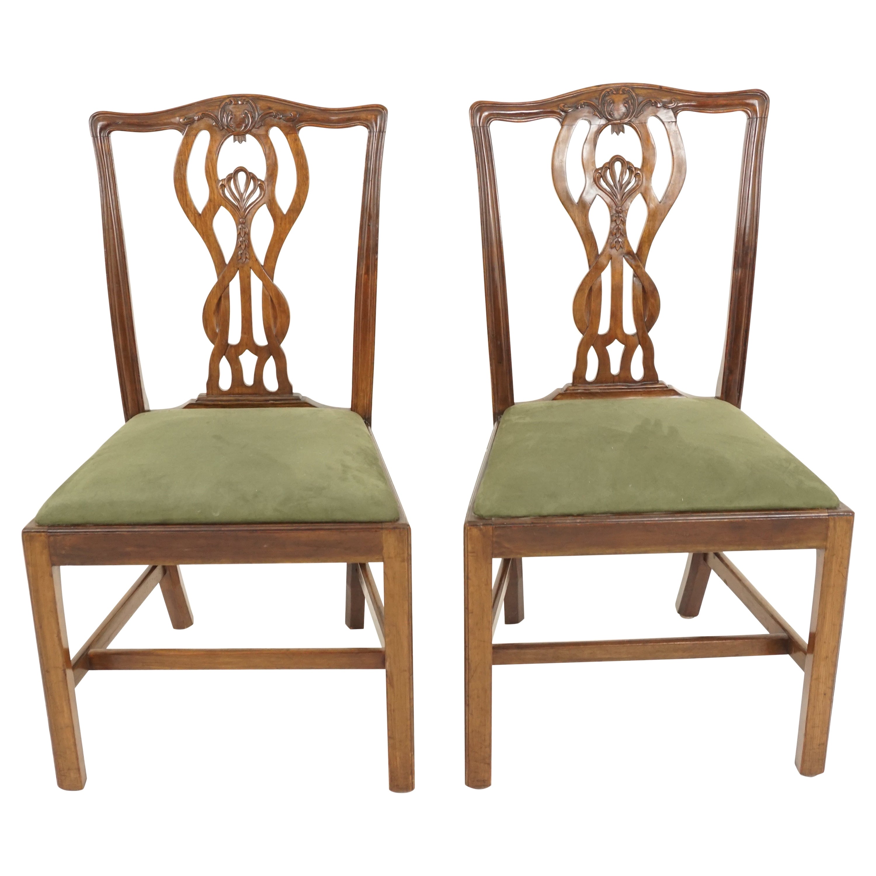 Pair of Vintage Dining Chairs, Walnut, Chippendale Style, Scotland 1930