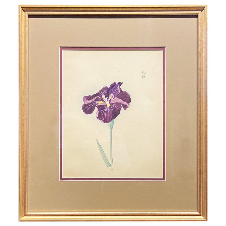 Signed 19th Century Woodblock Print Depicting a Japanese Iris in Gilt Frame For Sale