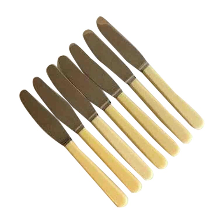 Raadvad Stainless Knifes with Cow Bone Shaft, 1 Set of 7 Pcs For Sale