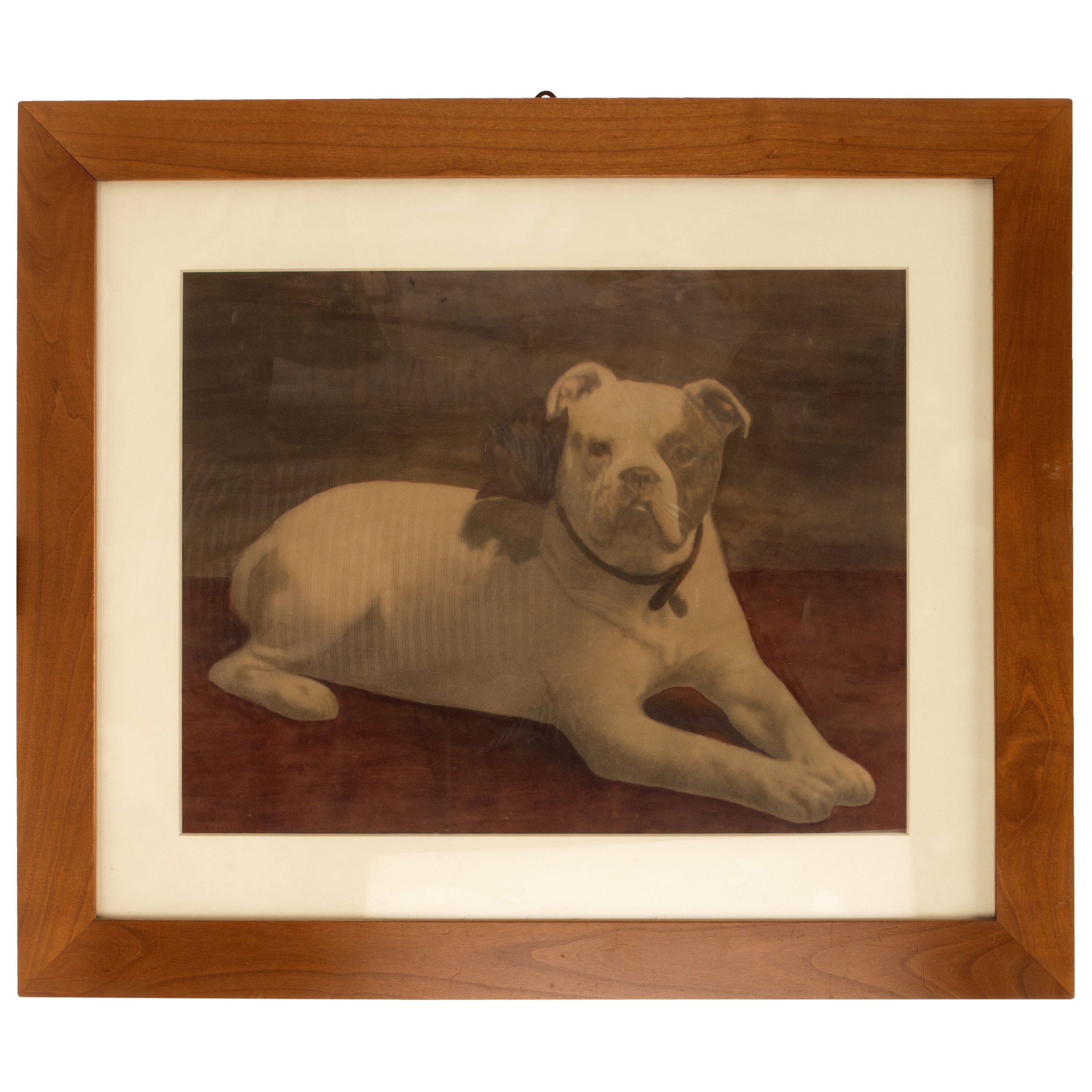 Watercolor Finished Print Depicting an English Bulldog, England 1910