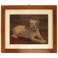 Antique Watercolor Finished Print Depicting an English Bulldog, England 1910