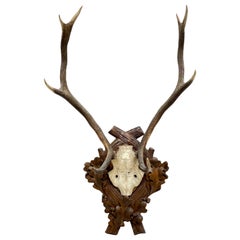 Large Antique Black Forest Deer Antler Trophy Wood Carved Plaque, Austria, 1900s