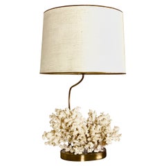Table Lamp Brass with Coral in the Style of Willy Daro