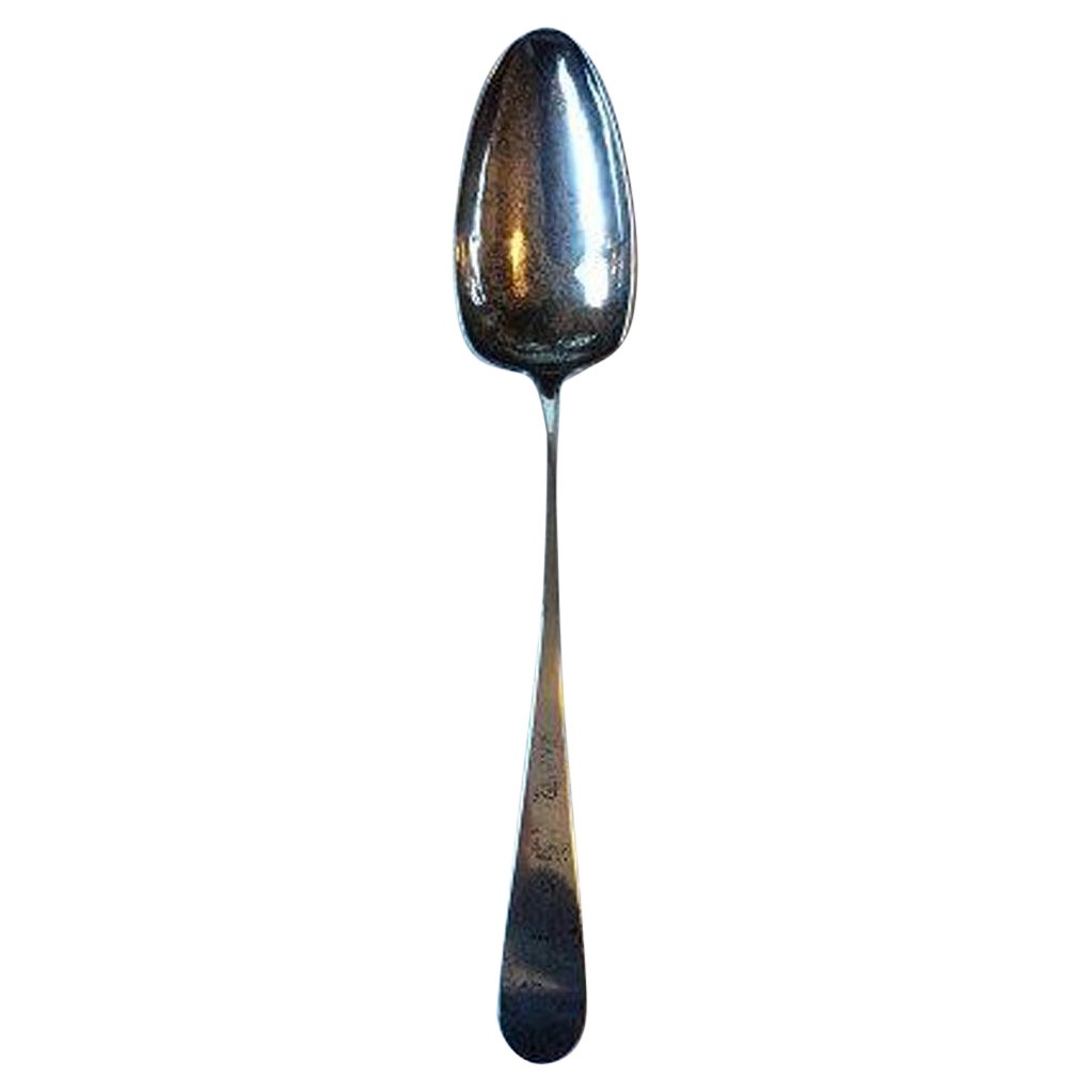 Large Serving Spoon in Silver For Sale