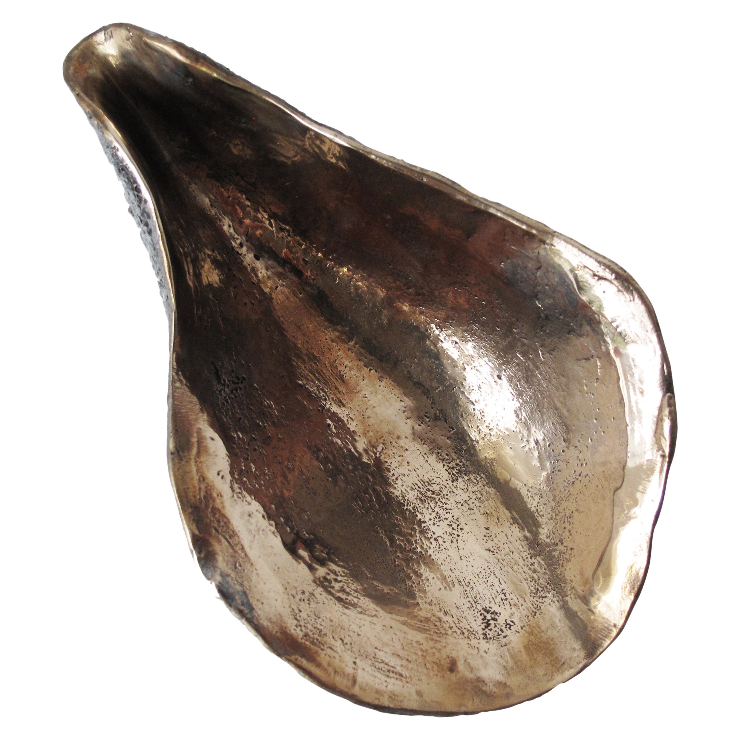 Oyster, Noir / Pièce décorative en bronze massif ciselé à la main / Poids en papier en vente