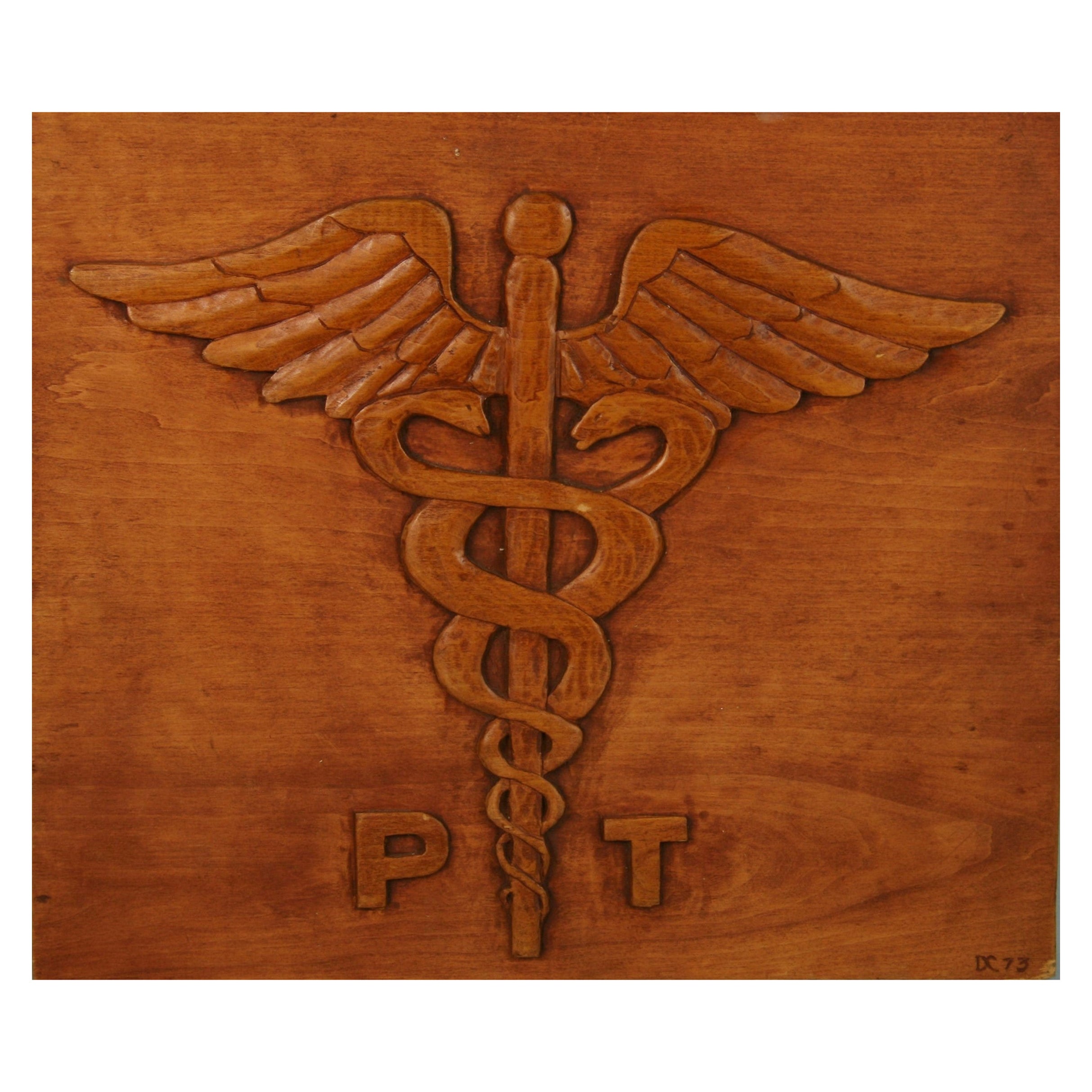 Plaque murale en bois sculpté symbole médical