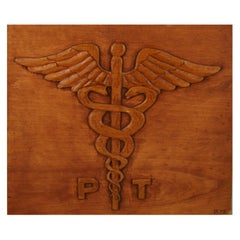 Vintage Carved Wood Wall Plaque Medical Symbol