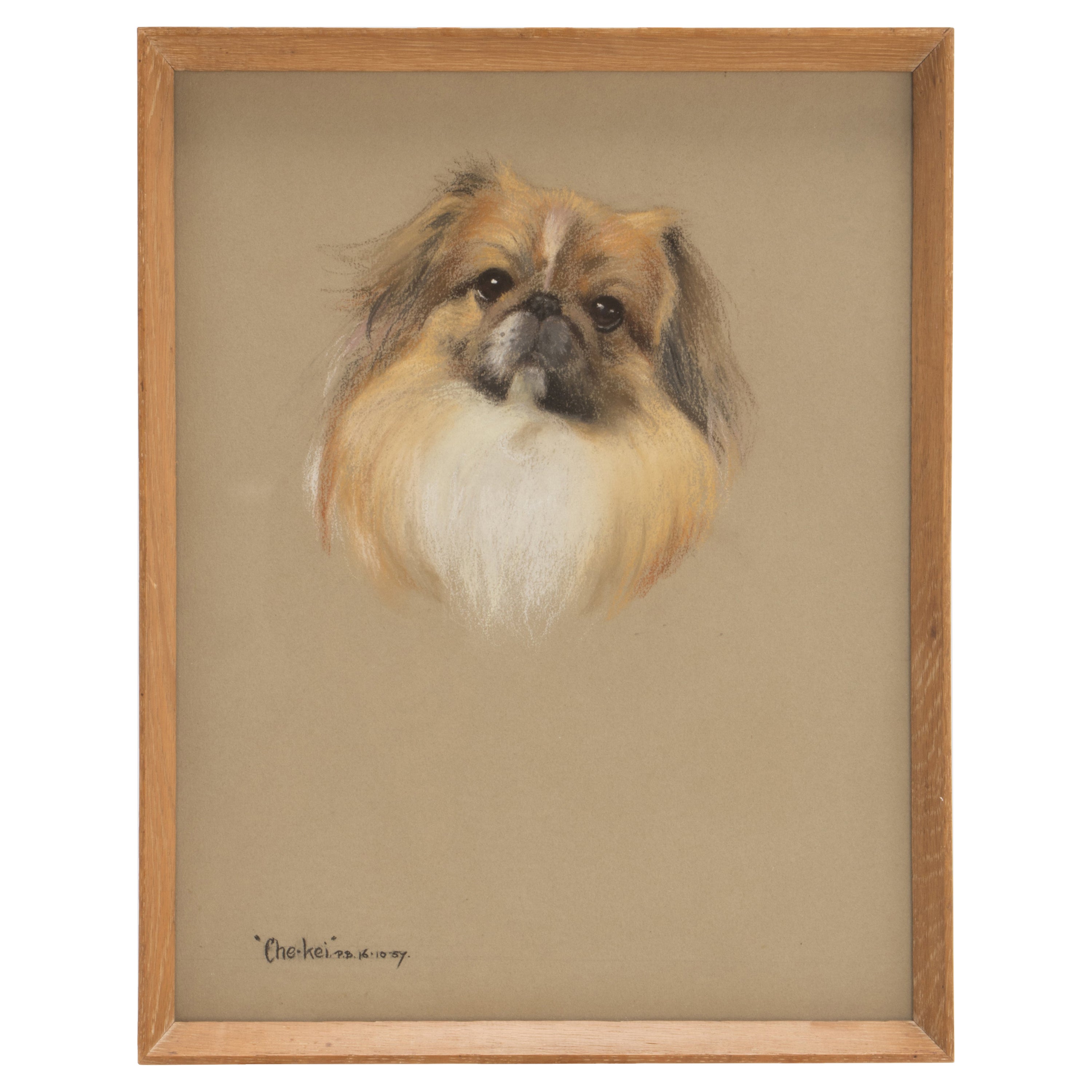 Pastel Painting on Paper, Depicting a Pekingese Dog, England, 1940 For Sale