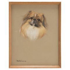 Pastel Painting on Paper, Depicting a Pekingese Dog, England, 1940