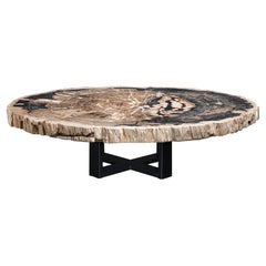 Center or Coffee Table, Natural Oval Shape, Petrified Wood with Metal Base