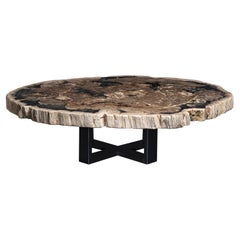 Center or Coffee Table, Natural Oval Shape, Petrified Wood with Metal Base