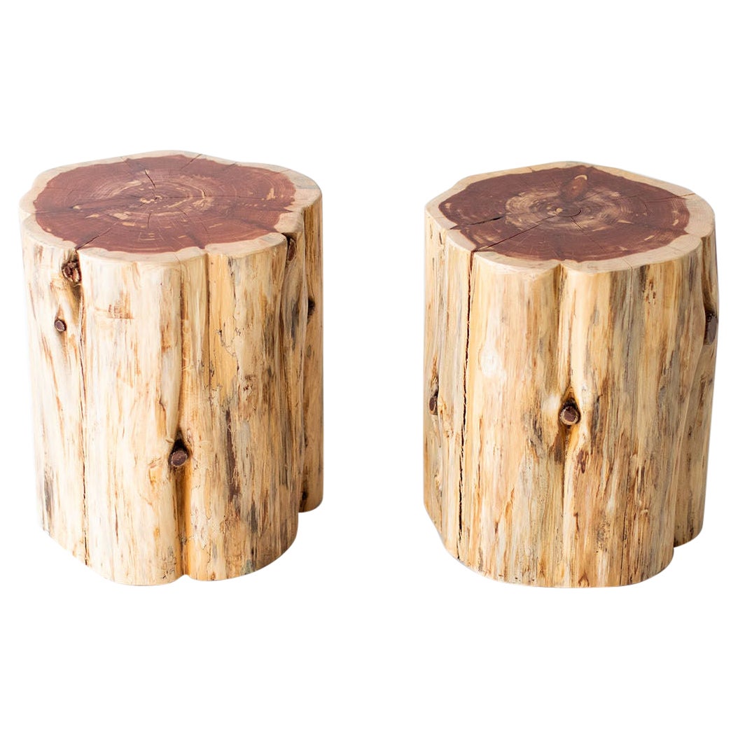Large Outdoor Tree Stump Tables, Natural