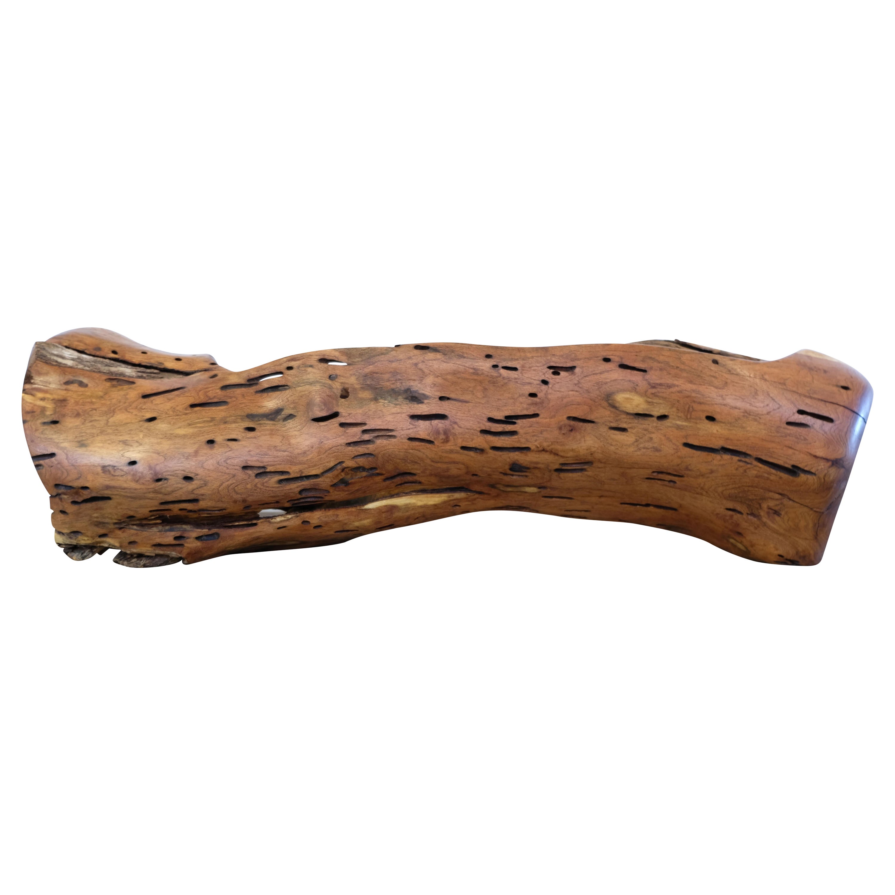21st Century Hand Carved Mesquite Sculpture by Texas Based Artist Tim Tam For Sale
