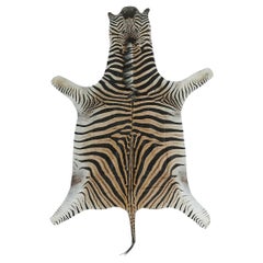 Vintage African Burchell Zebra Hide Rug