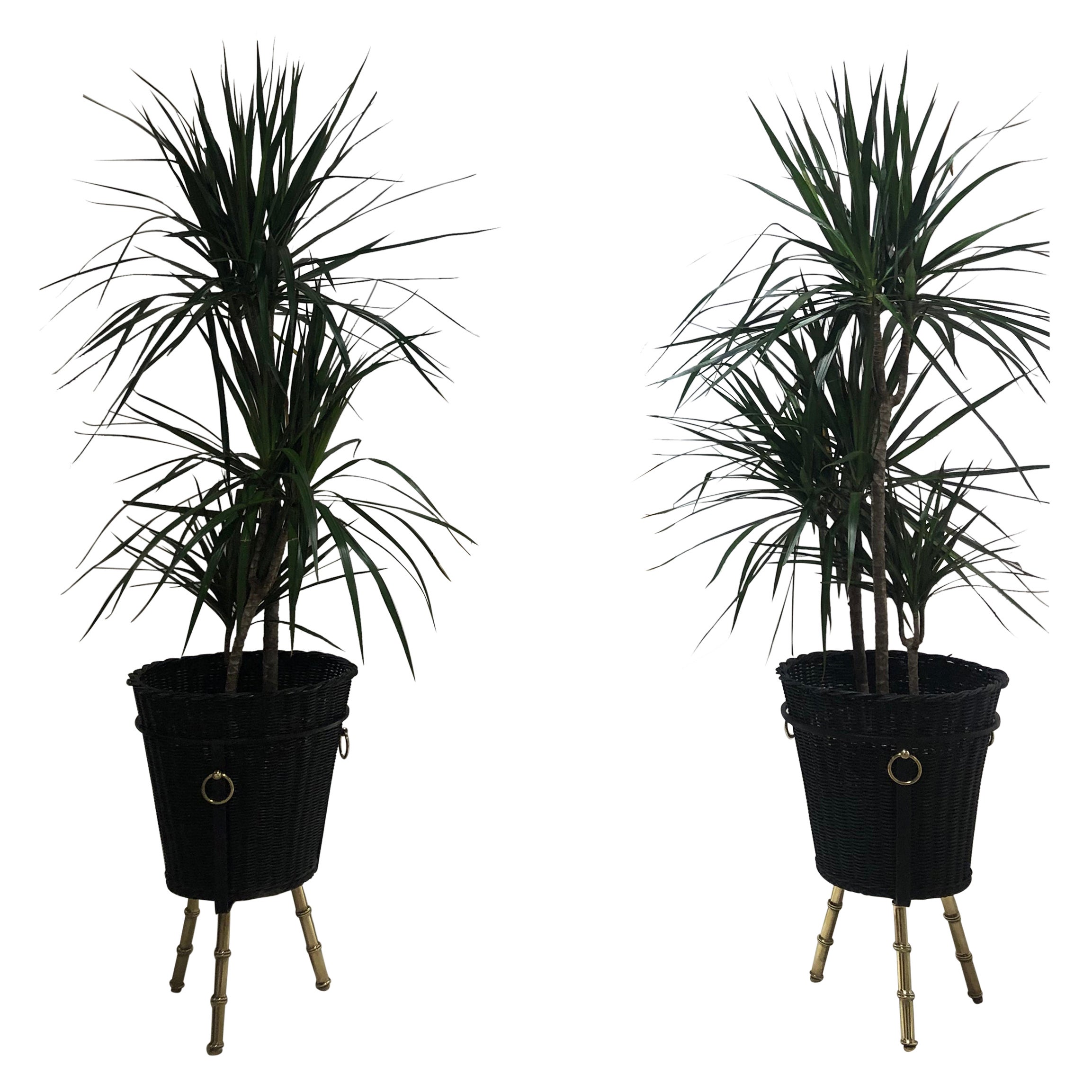 Pair of Brass Planters by Jacques Adnet, 1950