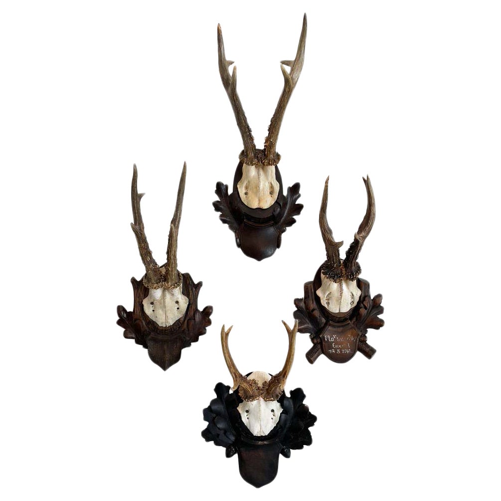 Collection of 8 Black Forest Antler Mounts on Hand-Carved Wood Plaques