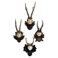 Collection of 8 Black Forest Antler Mounts on Hand-Carved Wood Plaques