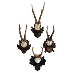 Collection of 8 Black Forest Antler Mounts on Hand-Carved Wood Plaques