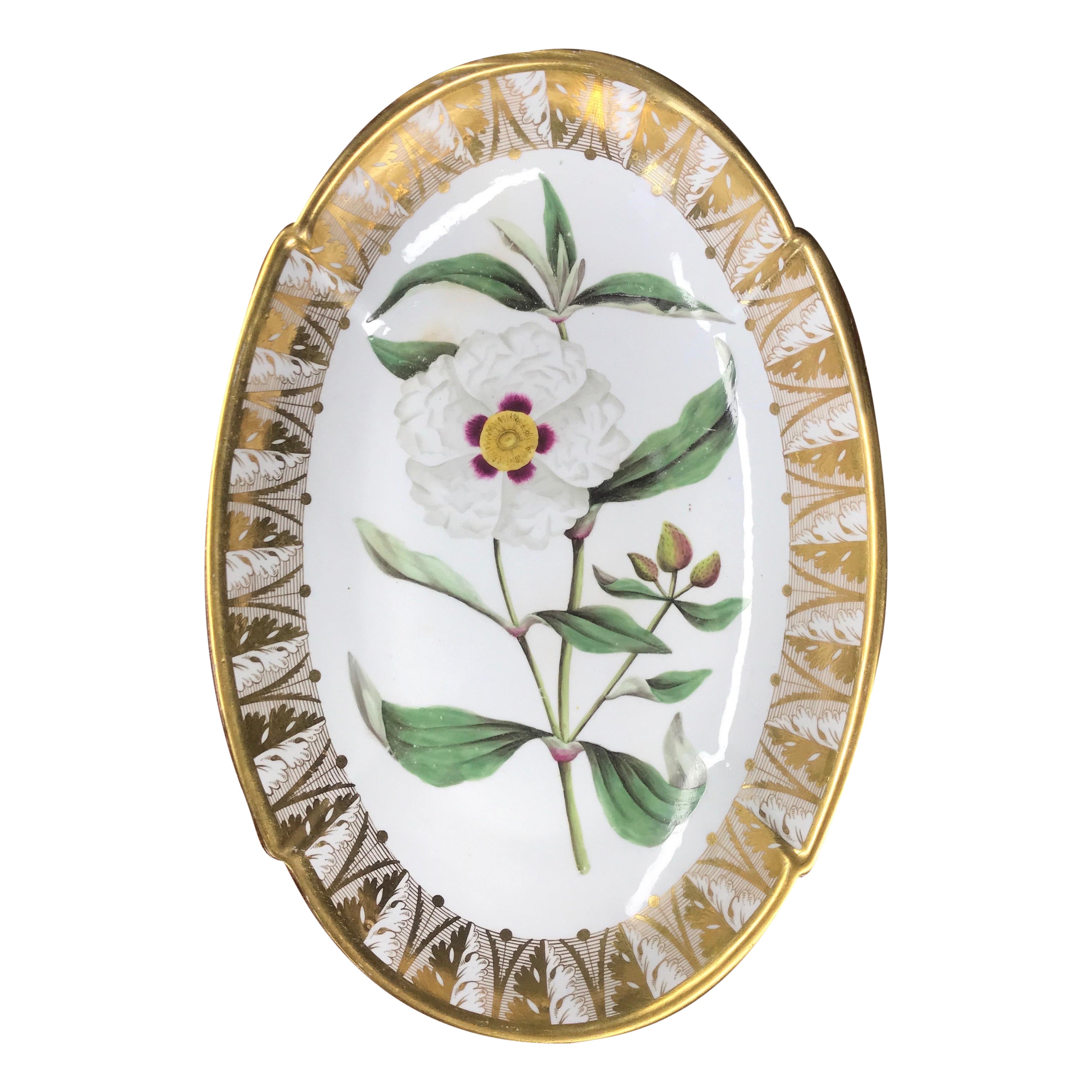 Spode Porcelain Oval Dish, ‘Gum Cistus’, c. 1800 For Sale