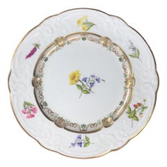 Antique Swansea Porcelain Plate with Flower Specimens, C. 1820