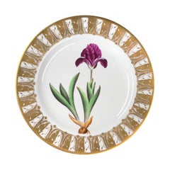 Spode Bone China Botanisch, 'Zwerg-Iris', um 1800