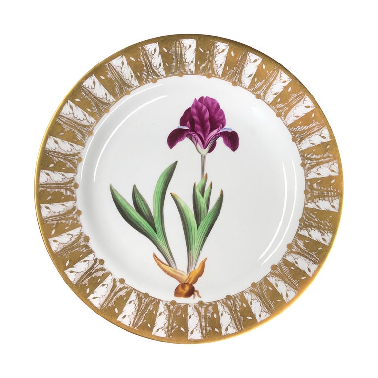 Spode Bone China Botanical, ‘Dwarf Iris’, C. 1800 For Sale at 1stDibs