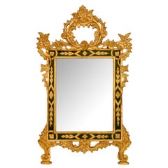 Italian 19th Century Louis XV Style Giltwood and Polychrome Mirror