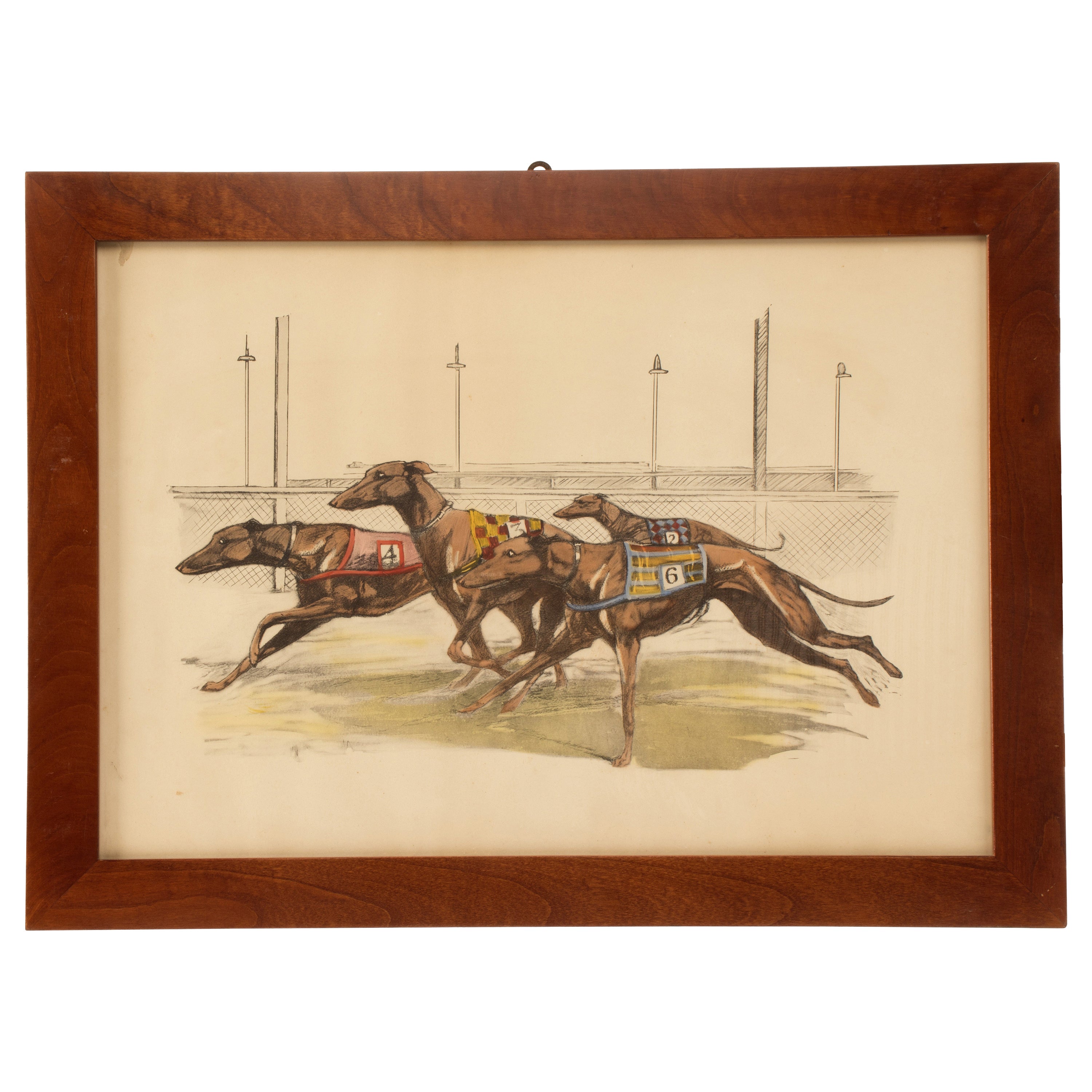 Watercolor Finished Print Depicting Greyhound Dogs Running, USA, 1900 For Sale