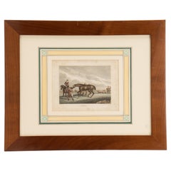 Antique Watercolor Finished Print Depicting Racing Horses, England 1799