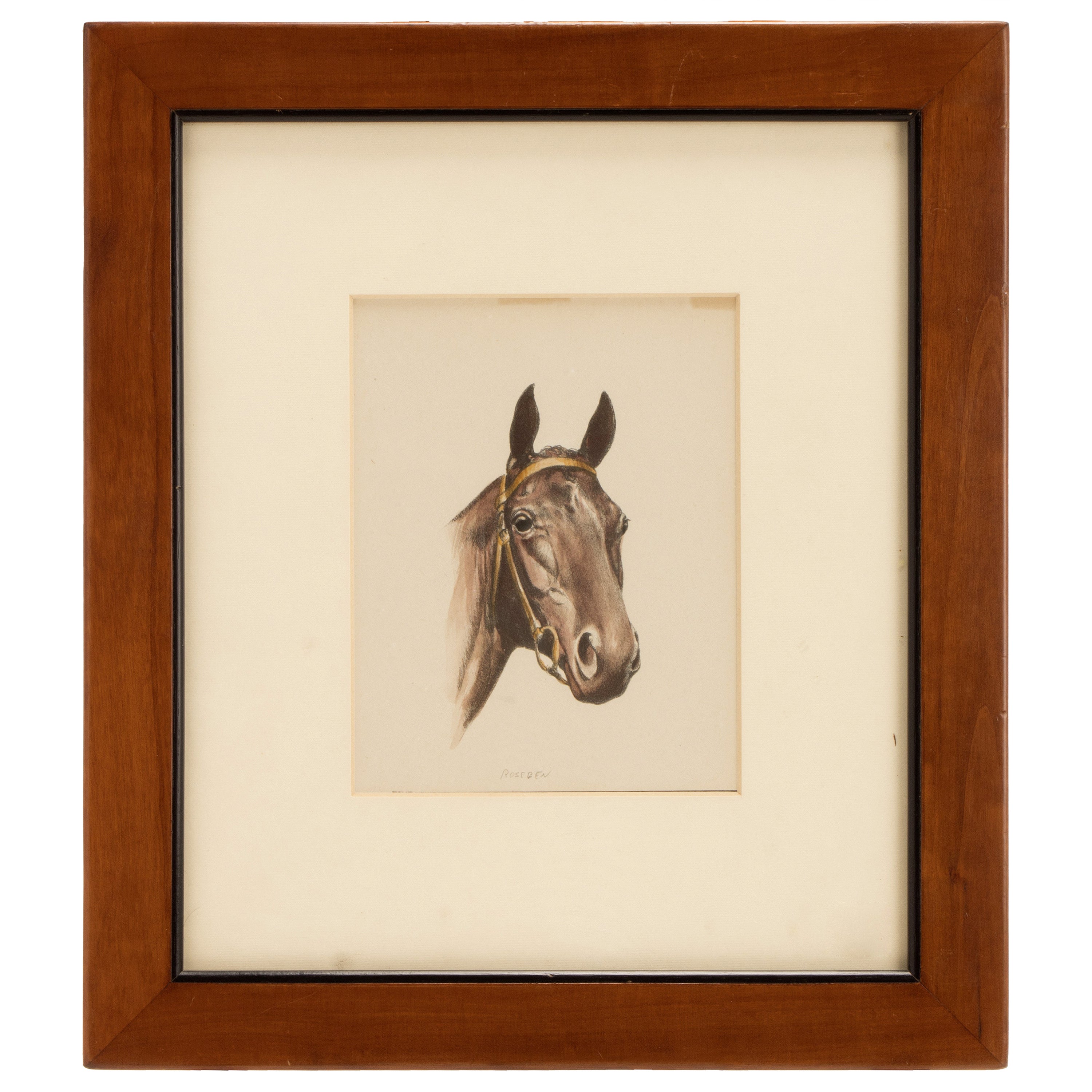 Color Lithograph Depicting a Horse Head, USA 1950 For Sale