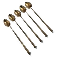 5 Pcs. Cocktail Spoon with Straw in Silver