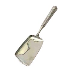P. Hertz Silver Crumb Scoop from 1870's
