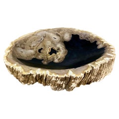 Petrified Wood Bowl in Beige/ Grey/ Black Tones - Top Quality