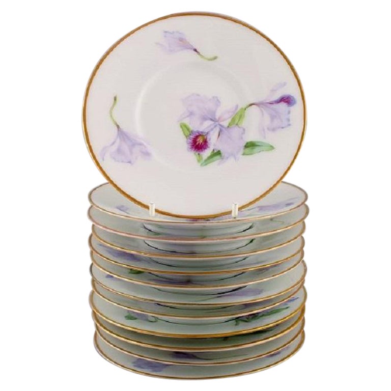 Twelve Antique Unique Royal Copenhagen Porcelain Plates with Iris Flowers