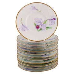 Twelve Antique Unique Royal Copenhagen Porcelain Plates with Iris Flowers