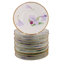 Douze assiettes anciennes uniques en porcelaine Royal Copenhagen avec fleurs d' iris