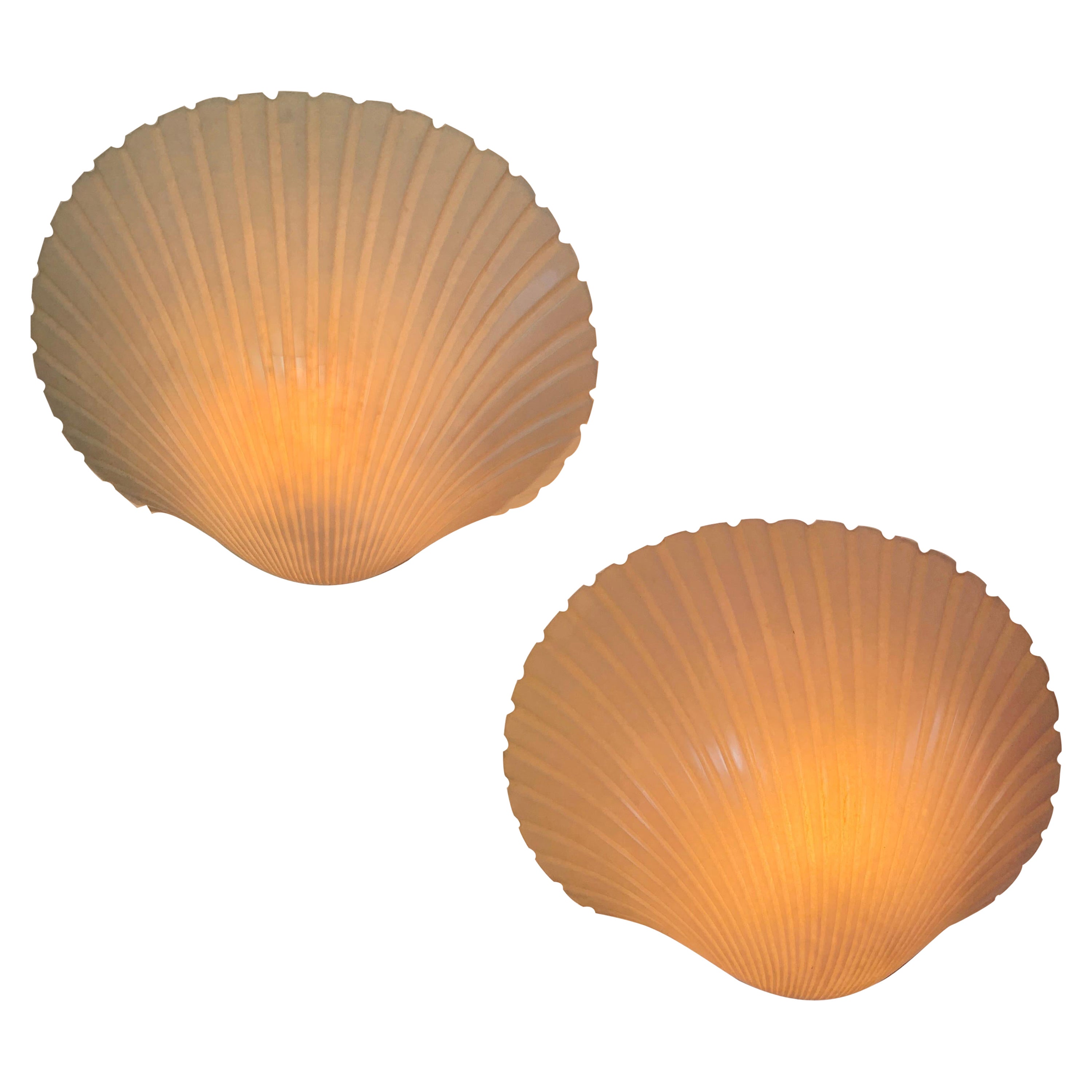 White Shell Wall Lamps by Michèle Mahé and André Cazenave France 1970's