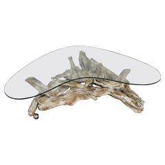 Table basse en bois flotté en verre amorphe/ biomorphe, moderne du milieu du siècle dernier